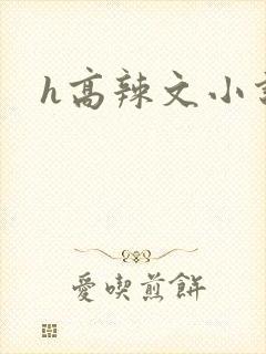 h高辣文小说