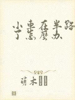 小车在半路没油了怎么办