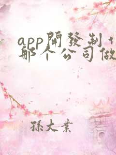 app开发制作那个公司做的好