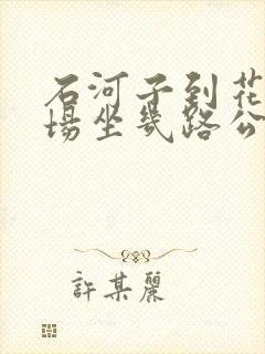 石河子到花园机场坐几路公交车 石河子到花园机场坐几路公交车