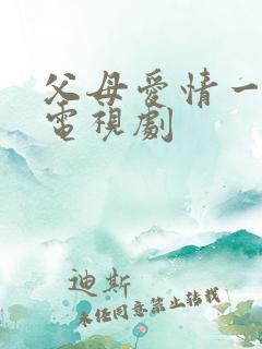 父母爱情一类的电视剧