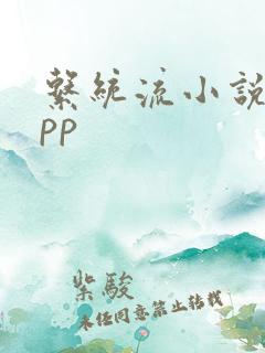 系统流小说网app