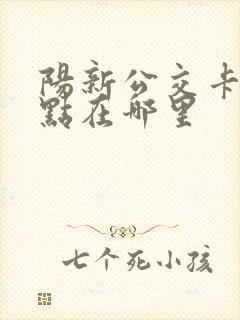 阳新公交卡充值点在哪里 阳新公交卡充值点在哪里