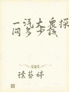一汽大众探岳中网多少钱
