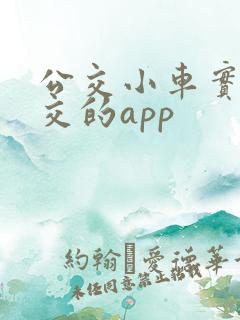 公交小车实时公交的app