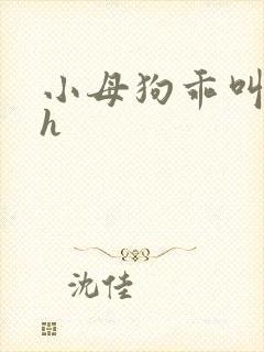 小母狗乖叫爸爸h