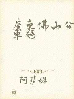 广东佛山公交乘车码