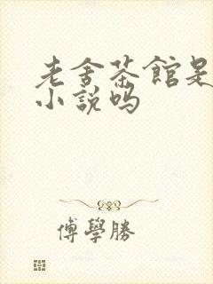 老舍茶馆是长篇小说吗