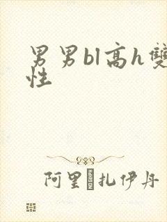 男男bl高h双性