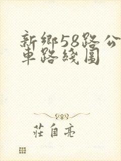新乡58路公交车路线图