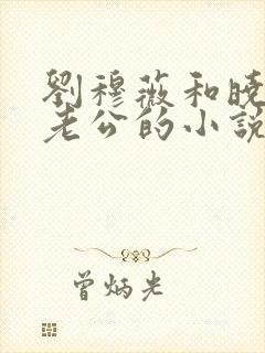 刘穆薇和晓婉的老公的小说免费阅读