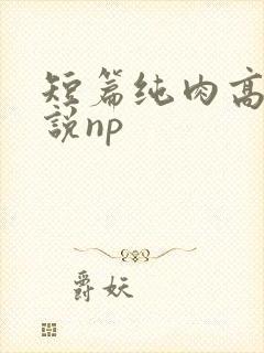 短篇纯肉高h小说np