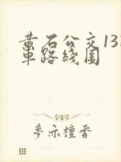 黄石公交13路车路线图