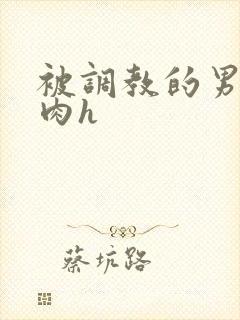 被调教的男奴们肉h 被调教的男奴们肉h