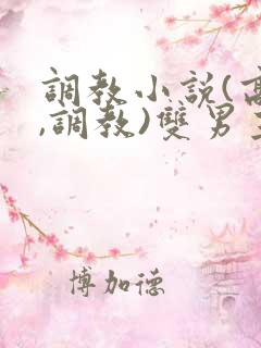 调教小说(高h,调教)双男主