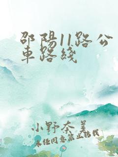 邵阳11路公交车路线