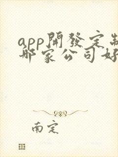 app开发定制哪家公司好