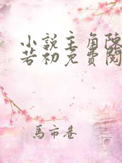 小说主角陈凡苏若初免费阅读