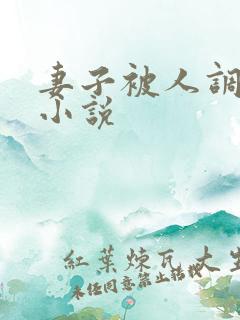 妻子被人调教h小说