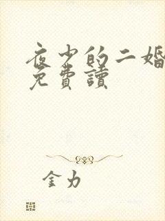 夜少的二婚新妻免费读