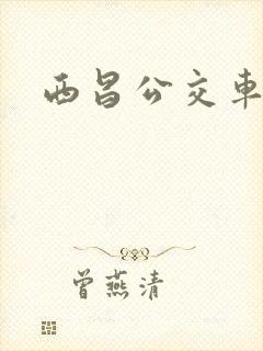 西昌公交车路线