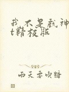 我不是戏神txt精校版