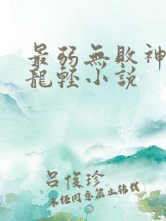 最弱无败神装机龙轻小说