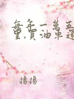 每年一万五千公里,买油车还是电车