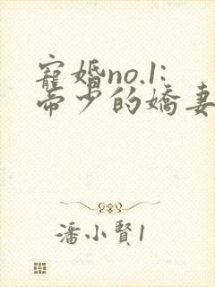 宠婚no.1:帝少的娇妻 宠婚no.1:帝少的娇妻