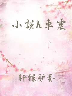 小说h车震