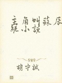 主角叫苏辰有系统小说 主角叫苏辰有系统小说