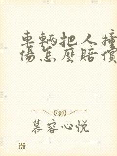 车辆把人撞成重伤怎么赔偿