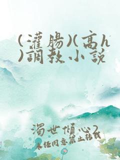 (灌肠)(高h)调教小说