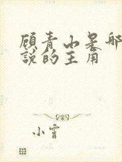 顾青山是哪部小说的主角