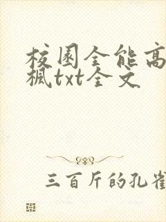 校园全能高手季枫txt全文