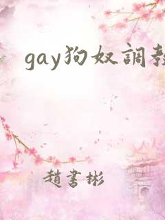 gay狗奴调教