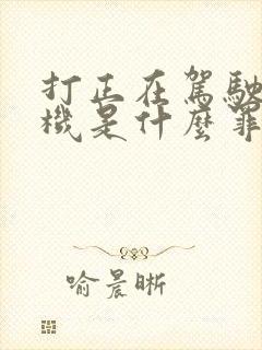 打正在驾驶的司机是什么罪