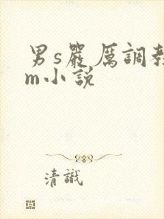 男s严厉调教女m小说