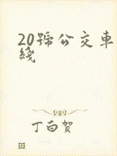 20号公交车路线
