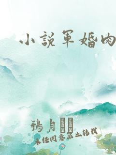 小说军婚肉