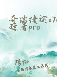 奇瑞捷途x70廷者pro