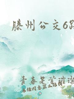 滕州公交6路 滕州公交6路
