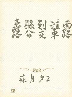 寿县到淮南29路公交车路线