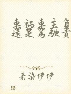 车祸车主负责任还是驾驶责任