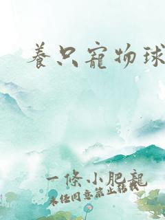 养只宠物球