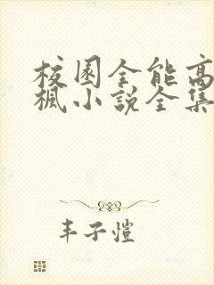 校园全能高手季枫小说全集完整版txt