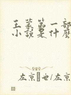 王蒙第一部长篇小说是什么