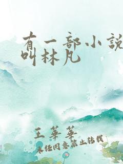 有一部小说主角叫林凡