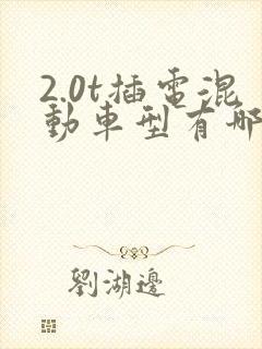 2.0t插电混动车型有哪些