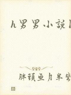 h男男小说囚禁